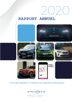 Rapport annuel 2020 VFR